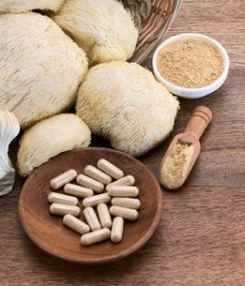 Champignon lion's mane